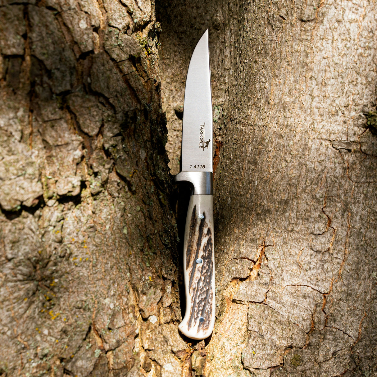 Parforce - Jagt på nikkedukker Capreolus