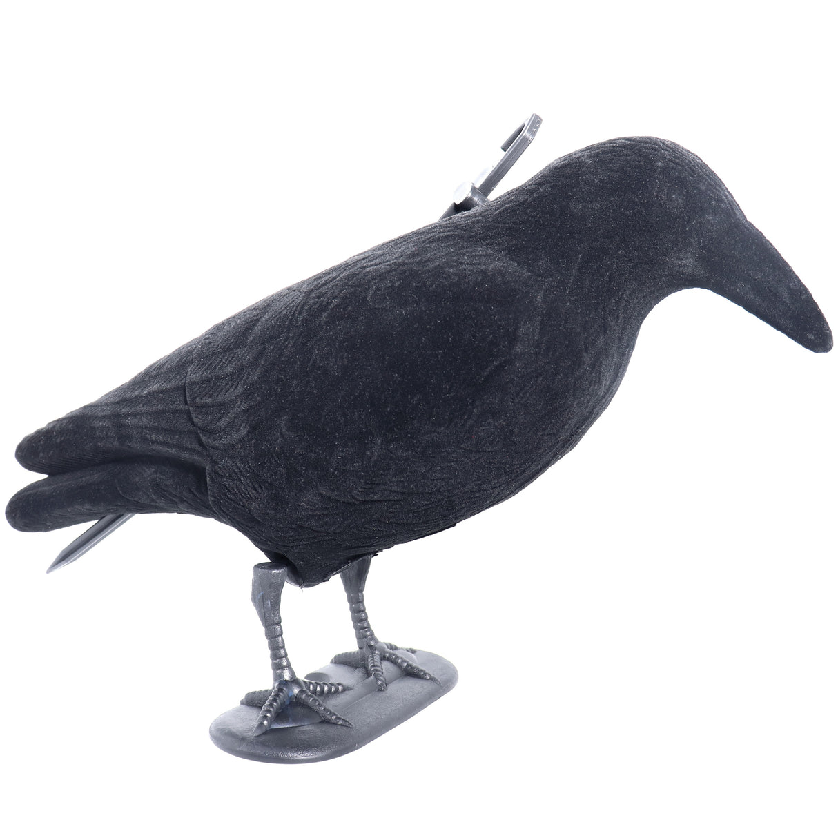 Parforce - Lokkefugl af en krage