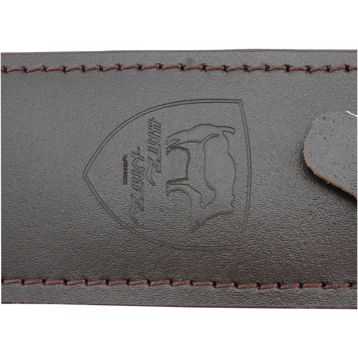 Parforce - Kniv Sautöter Hatz-Watz Boar Hunter Valnød FT