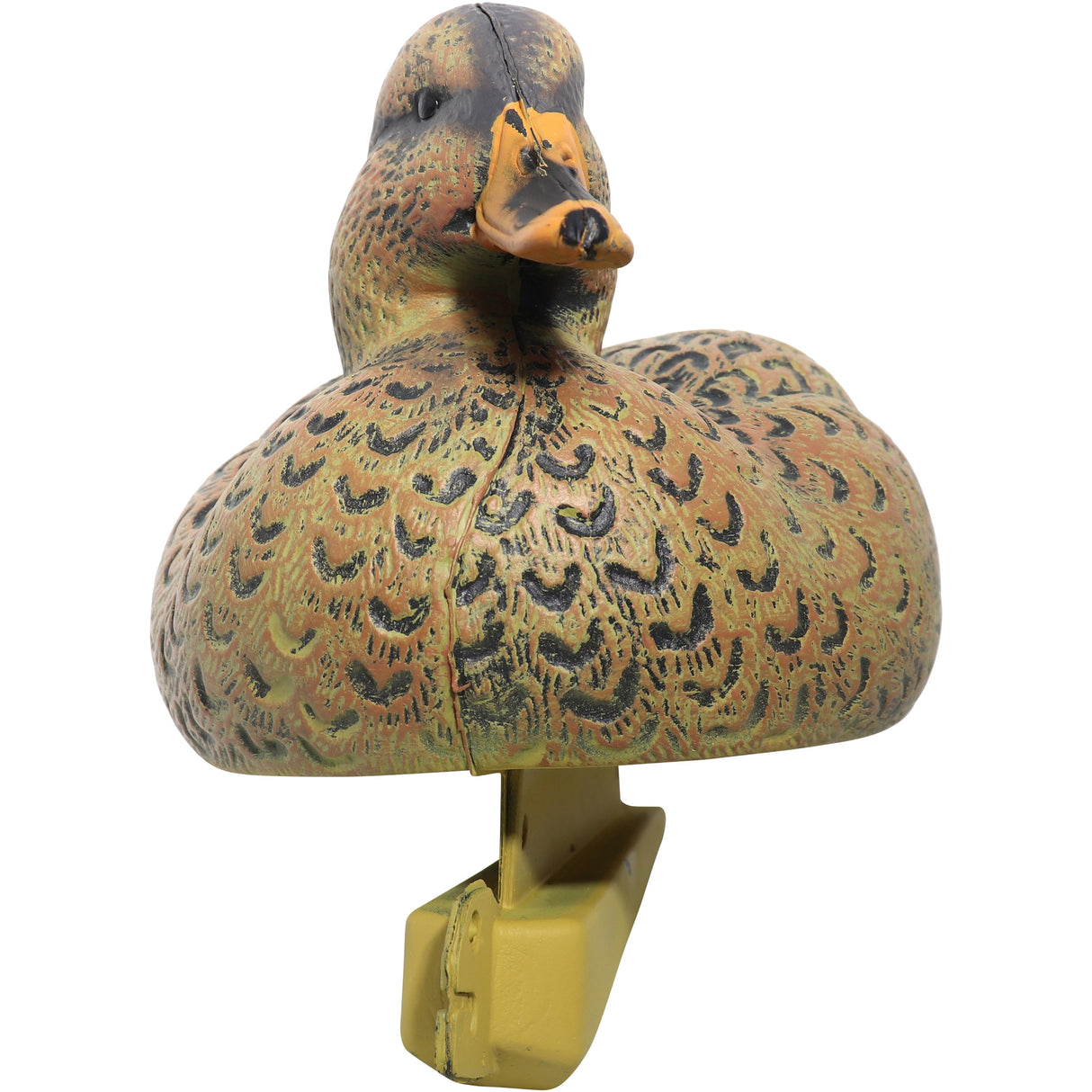 Parforce - Lokkefuglesæt and & drake