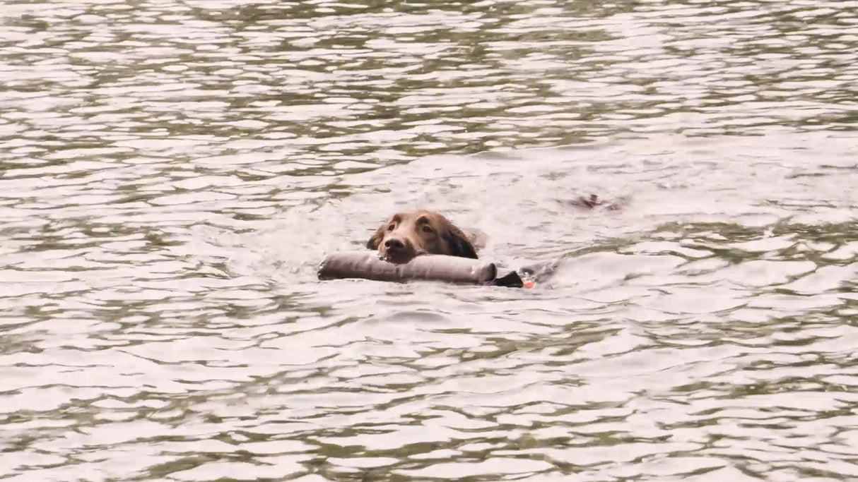 Parforce - Apporteringsdummy