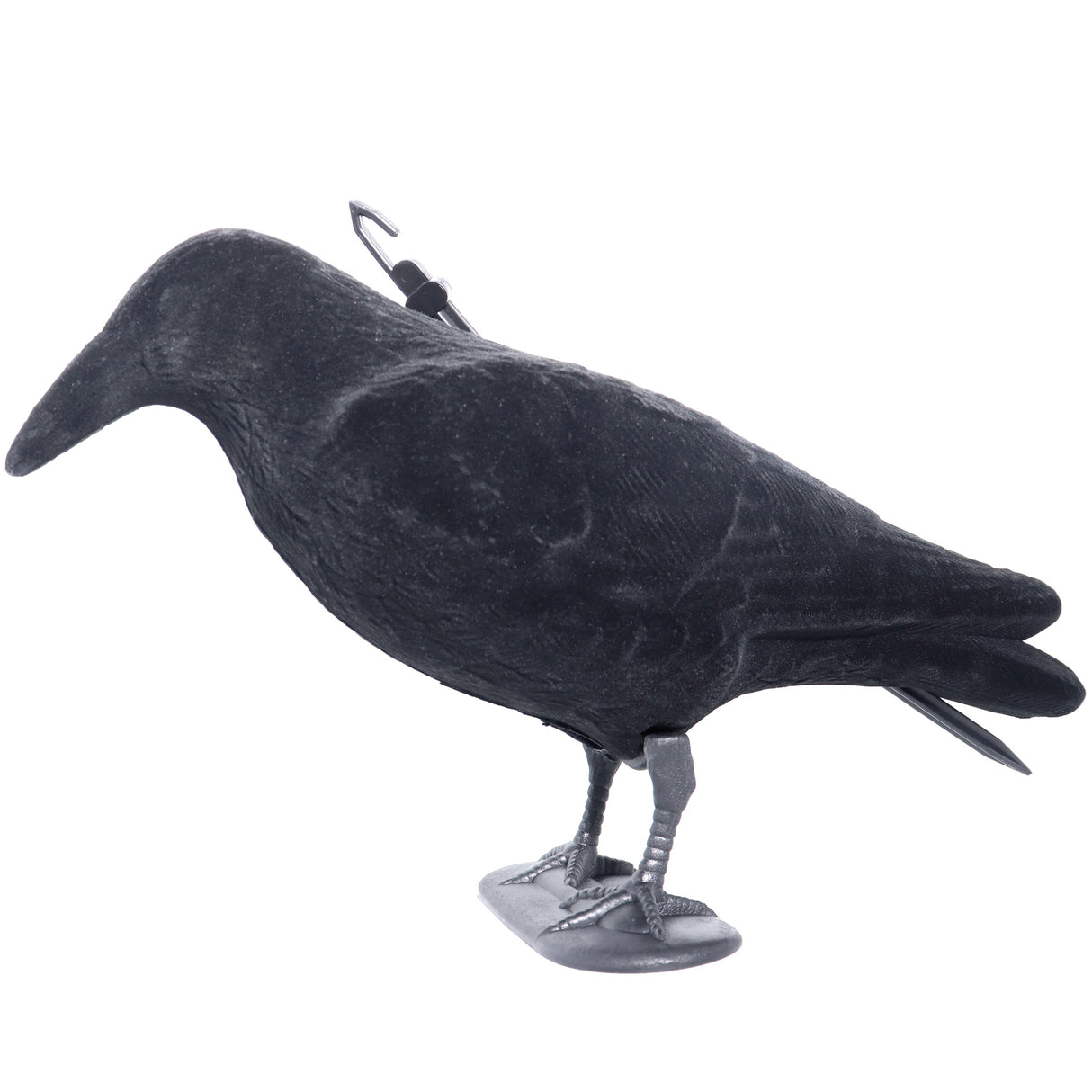 Parforce - Lokkefugl af en krage