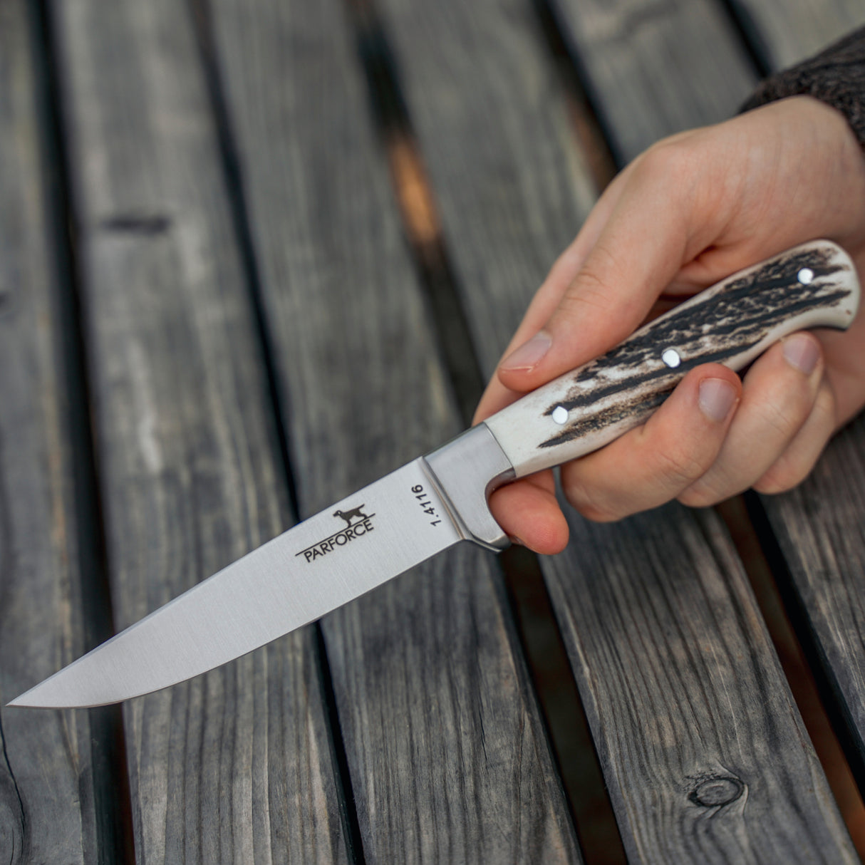 Parforce - Jagt på nikkedukker Capreolus