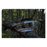 Silky - Gomboy Curve Outback Edition Foldesav-4-XtraGrej